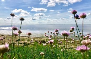 Foto: Richard Kiewiet